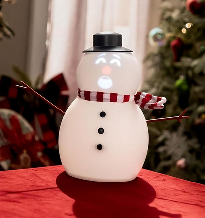 Mr. Chill - Talking Animated Blink Snowman with Built in Projector & Speaker Plug'n Play